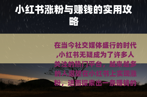 小红书涨粉与赚钱的实用攻略