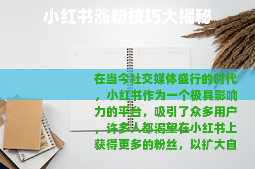 小红书涨粉技巧大揭秘