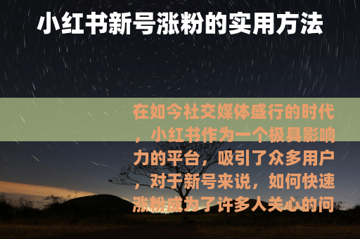 小红书新号涨粉的实用方法