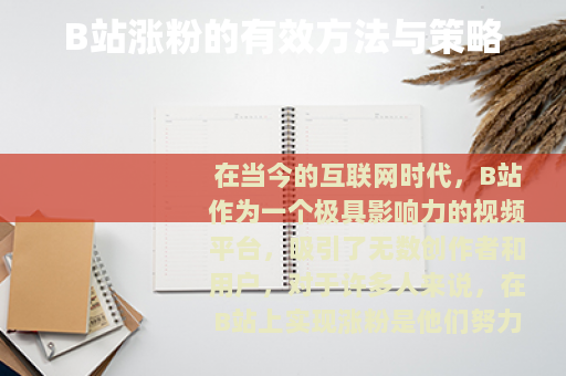 B站涨粉的有效方法与策略