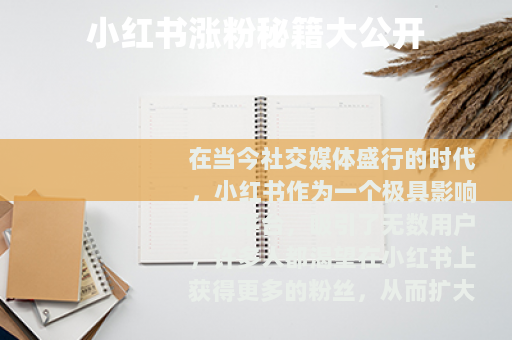 小红书涨粉秘籍大公开