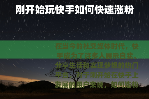 刚开始玩快手如何快速涨粉