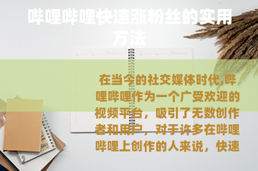 哔哩哔哩快速涨粉丝的实用方法