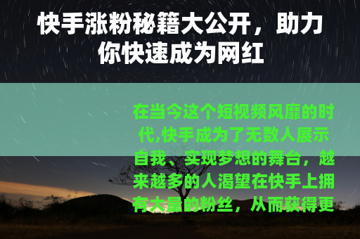 快手涨粉秘籍大公开，助力你快速成为网红