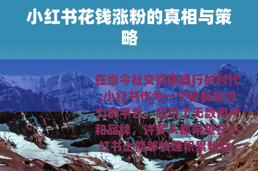 小红书花钱涨粉的真相与策略