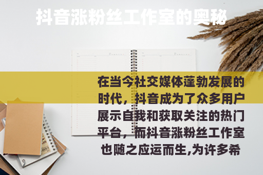 抖音涨粉丝工作室的奥秘