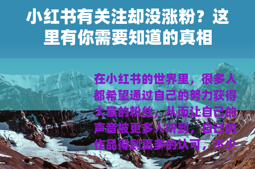 小红书有关注却没涨粉？这里有你需要知道的真相