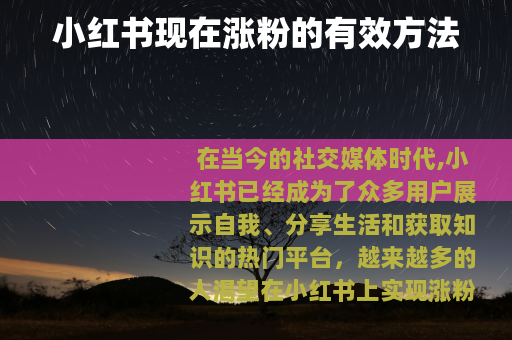 小红书现在涨粉的有效方法