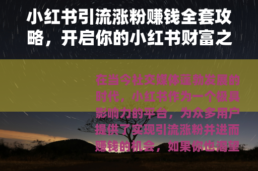 小红书引流涨粉赚钱全套攻略，开启你的小红书财富之旅