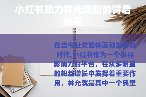 小红书助力林允涨粉的背后秘密