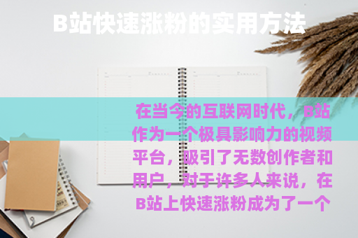 B站快速涨粉的实用方法