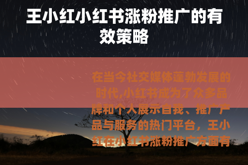 王小红小红书涨粉推广的有效策略