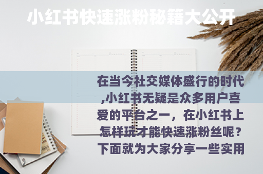 小红书快速涨粉秘籍大公开