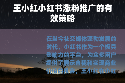 王小红小红书涨粉推广的有效策略