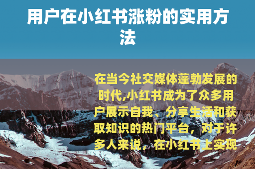 用户在小红书涨粉的实用方法