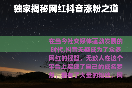 独家揭秘网红抖音涨粉之道