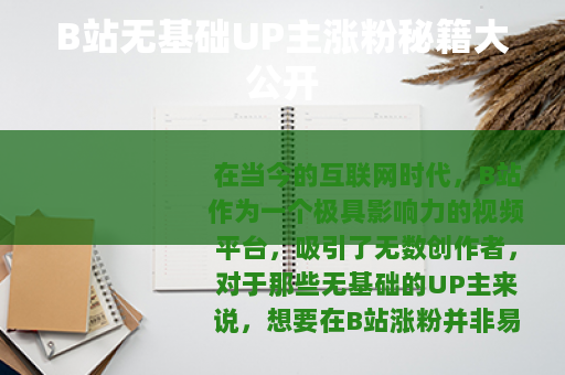 B站无基础UP主涨粉秘籍大公开