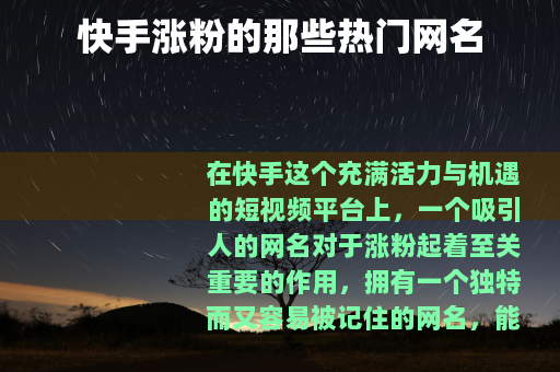 快手涨粉的那些热门网名