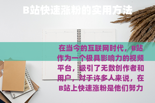 B站快速涨粉的实用方法