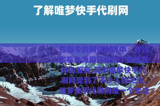 了解唯梦快手代刷网