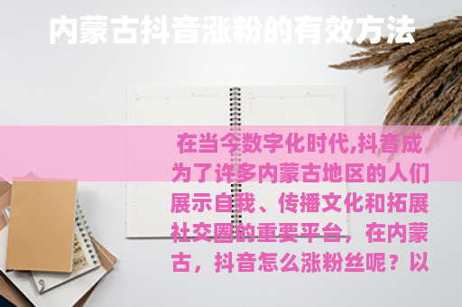 内蒙古抖音涨粉的有效方法