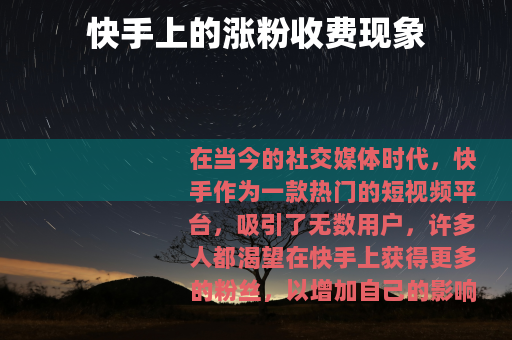 快手上的涨粉收费现象