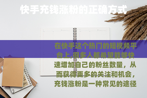 快手充钱涨粉的正确方式