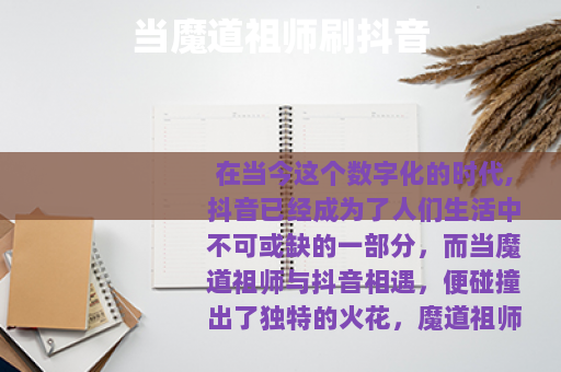 当魔道祖师刷抖音