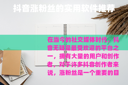 抖音涨粉丝的实用软件推荐