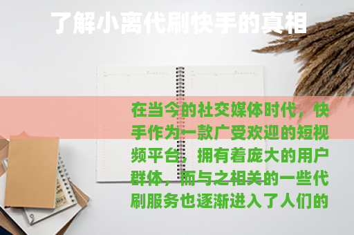 了解小离代刷快手的真相