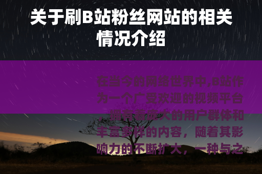 关于刷B站粉丝网站的相关情况介绍