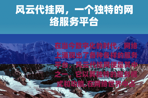 风云代挂网，一个独特的网络服务平台