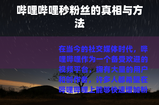 哔哩哔哩秒粉丝的真相与方法