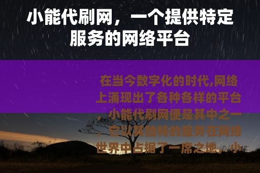 小能代刷网，一个提供特定服务的网络平台