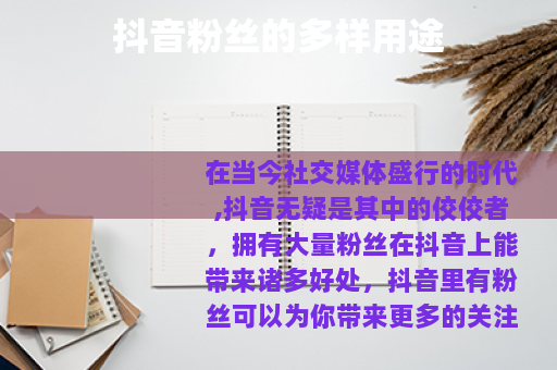 抖音粉丝的多样用途