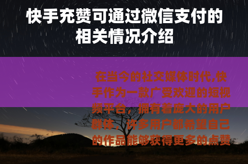 快手充赞可通过微信支付的相关情况介绍
