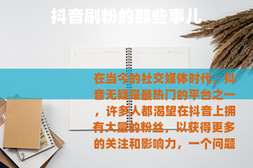 抖音刷粉的那些事儿