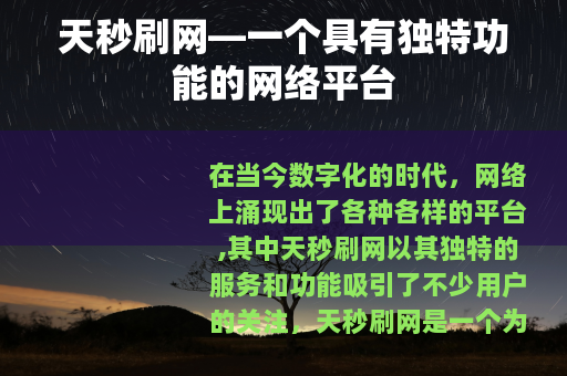 天秒刷网—一个具有独特功能的网络平台