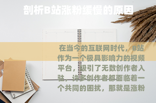 剖析B站涨粉缓慢的原因