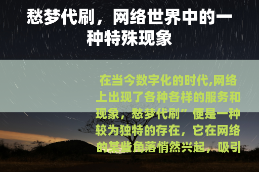 愁梦代刷，网络世界中的一种特殊现象