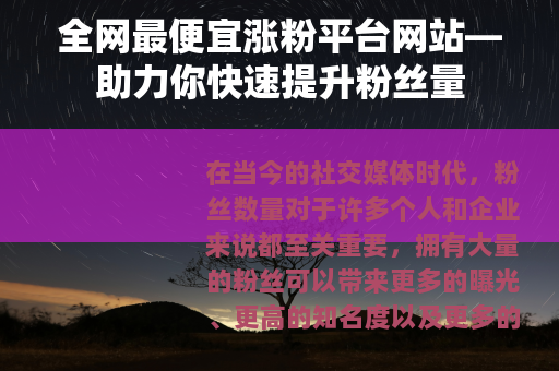 全网最便宜涨粉平台网站—助力你快速提升粉丝量