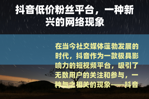 抖音低价粉丝平台，一种新兴的网络现象