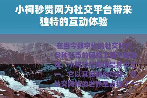 小柯秒赞网为社交平台带来独特的互动体验