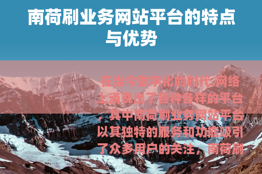 南荷刷业务网站平台的特点与优势