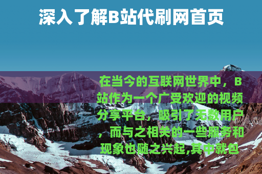 深入了解B站代刷网首页