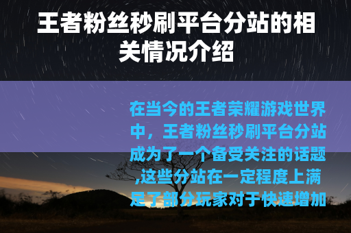 王者粉丝秒刷平台分站的相关情况介绍