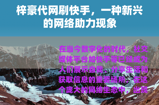 梓豪代网刷快手，一种新兴的网络助力现象