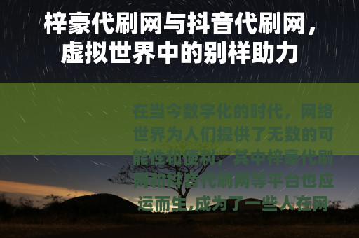 梓豪代刷网与抖音代刷网，虚拟世界中的别样助力
