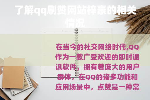 了解qq刷赞网站梓豪的相关情况