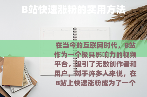 B站快速涨粉的实用方法